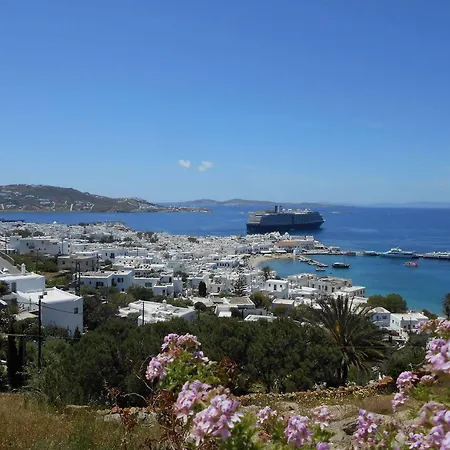 La Veranda Of Mykonos Hotel 2*
